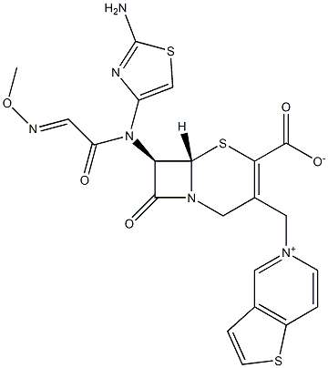 (7R)-7-[(2-Amino-4-thiazolyl)(methoxyimino)acetylamino]-3-[[(thieno[3,2-c]pyridin-5-ium)-5-yl]methyl]cepham-3-ene-4-carboxylic acid Struktur