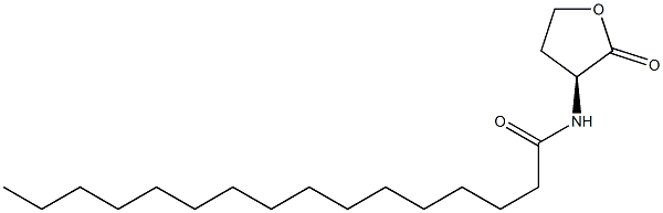 (S)-4-Hydroxy-2-(palmitoylamino)butyric acid lactone Struktur