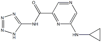 N-(1H-Tetrazol-5-yl)-6-cyclopropylaminopyrazine-2-carboxamide Struktur