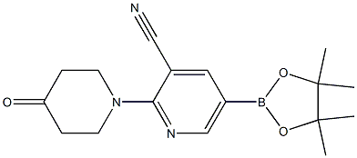 5-(4,4,5,5-tetramethyl-1,3,2-dioxaborolan-2-yl)-2-(4-oxopiperidin-1-yl)pyridine-3-carbonitrile Struktur