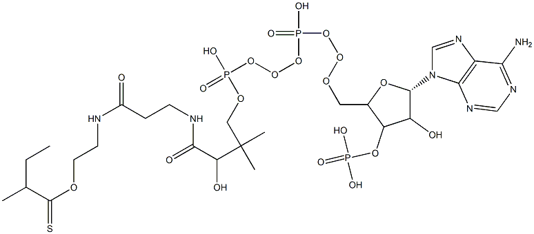 S-[2-[3-[[4-[[[5-(6-aminopurin-9-yl)-4-hydroxy-3-phosphonooxyoxolan-2-yl]methoxy-hydroxyphosphoryl]oxy-hydroxyphosphoryl]oxy-2-hydroxy-3,3-dimethylbutanoyl]amino]propanoylamino]ethyl] 2-methylbutanethioate Struktur