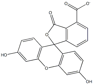 fluorescein carboxylate Struktur