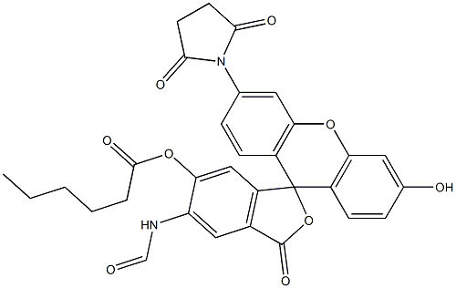 succinimido 6-(fluorescein-5-carboxamido)hexanoate Struktur