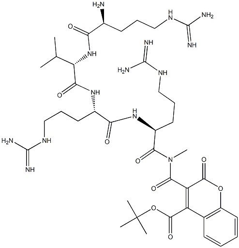 tert-butoxycarbonyl-arginyl-valyl-arginyl-arginyl-methylcoumarin amide Struktur