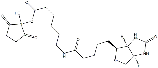 N-hydroxysuccinimidyl 6-biotinylaminohexanoate Struktur