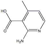 2-Amino-4-methylpyridine-3-carboxylic acid Struktur