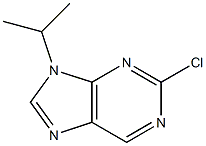 2-chloro-9-(1-methylethyl)-9H-purine Struktur