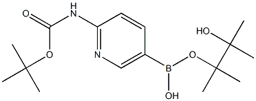 2-(BOC-AMINO)PYRIDINE-5-BORONIC ACID PINACOL ESTER Struktur