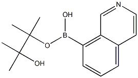 ISOQUINOLINE-8-BORONIC ACID PINACOL ESTER Struktur