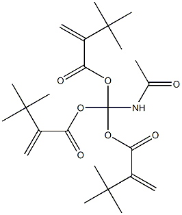 N-ACETYLAMINO-TRI-(TERT-BUTYLACRYLATE)METHANE Struktur