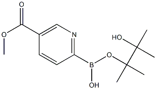 5-(METHOXYCARBONYL)PYRIDINE-2-BORONIC ACID PINACOL ESTER Struktur