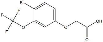 (4-BROMO-3-TRIFLUOROMETHOXY-PHENOXY)-ACETIC ACID Struktur