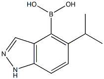 (5-ISOPROPYL-1H-INDAZOL-4-YL)BORONIC ACID Struktur