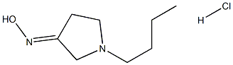 1-butylpyrrolidin-3-one oxime hydrochloride Struktur