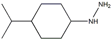 1-(4-isopropylcyclohexyl)hydrazine Struktur