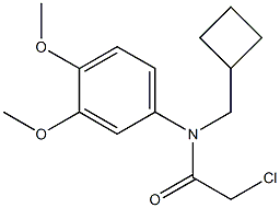 2-chloro-N-(cyclobutylmethyl)-N-(3,4-dimethoxyphenyl)acetamide Struktur