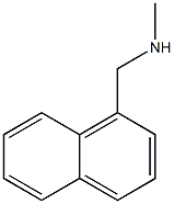 N-METHYL-1-NAPHTHALENMETHYLAMINE Struktur