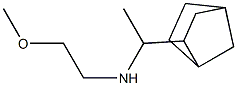 (1-{bicyclo[2.2.1]heptan-2-yl}ethyl)(2-methoxyethyl)amine Struktur