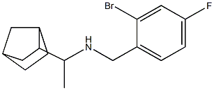 (1-{bicyclo[2.2.1]heptan-2-yl}ethyl)[(2-bromo-4-fluorophenyl)methyl]amine Struktur