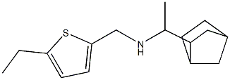 (1-{bicyclo[2.2.1]heptan-2-yl}ethyl)[(5-ethylthiophen-2-yl)methyl]amine Struktur