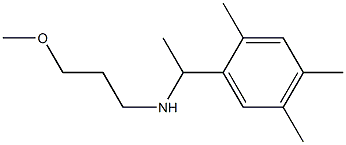 (3-methoxypropyl)[1-(2,4,5-trimethylphenyl)ethyl]amine Struktur