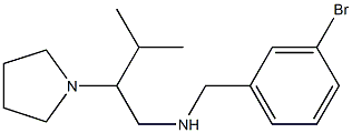 [(3-bromophenyl)methyl][3-methyl-2-(pyrrolidin-1-yl)butyl]amine Struktur