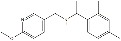 [1-(2,4-dimethylphenyl)ethyl][(6-methoxypyridin-3-yl)methyl]amine Struktur