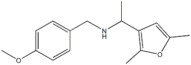 [1-(2,5-dimethylfuran-3-yl)ethyl][(4-methoxyphenyl)methyl]amine Struktur