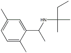 [1-(2,5-dimethylphenyl)ethyl](2-methylbutan-2-yl)amine Struktur