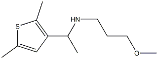 [1-(2,5-dimethylthiophen-3-yl)ethyl](3-methoxypropyl)amine Struktur