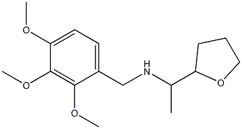 [1-(oxolan-2-yl)ethyl][(2,3,4-trimethoxyphenyl)methyl]amine Struktur