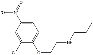 [2-(2-chloro-4-nitrophenoxy)ethyl](propyl)amine Struktur