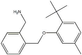 [2-(2-tert-butyl-5-methylphenoxymethyl)phenyl]methanamine Struktur