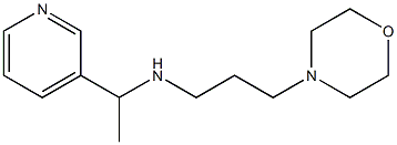 [3-(morpholin-4-yl)propyl][1-(pyridin-3-yl)ethyl]amine Struktur