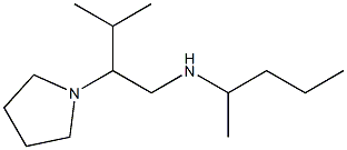 [3-methyl-2-(pyrrolidin-1-yl)butyl](pentan-2-yl)amine Structure