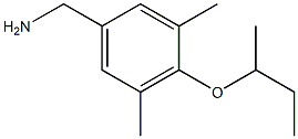 [4-(butan-2-yloxy)-3,5-dimethylphenyl]methanamine Struktur