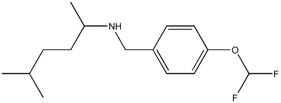 {[4-(difluoromethoxy)phenyl]methyl}(5-methylhexan-2-yl)amine Struktur