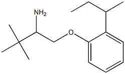 1-(2-amino-3,3-dimethylbutoxy)-2-(butan-2-yl)benzene Struktur