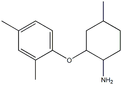 2-(2,4-dimethylphenoxy)-4-methylcyclohexan-1-amine Struktur