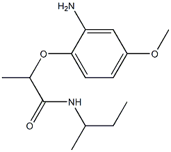 2-(2-amino-4-methoxyphenoxy)-N-(butan-2-yl)propanamide Struktur