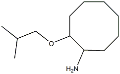 2-(2-methylpropoxy)cyclooctan-1-amine Struktur