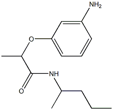 2-(3-aminophenoxy)-N-(pentan-2-yl)propanamide Struktur