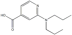 2-(dipropylamino)pyridine-4-carboxylic acid Struktur