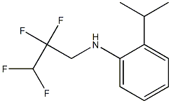 2-(propan-2-yl)-N-(2,2,3,3-tetrafluoropropyl)aniline Struktur