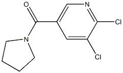 2,3-dichloro-5-(pyrrolidin-1-ylcarbonyl)pyridine Struktur