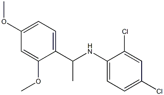 2,4-dichloro-N-[1-(2,4-dimethoxyphenyl)ethyl]aniline Struktur