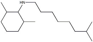 2,6-dimethyl-N-(7-methyloctyl)cyclohexan-1-amine Struktur