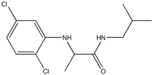 2-[(2,5-dichlorophenyl)amino]-N-(2-methylpropyl)propanamide Struktur