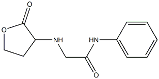 2-[(2-oxooxolan-3-yl)amino]-N-phenylacetamide Struktur