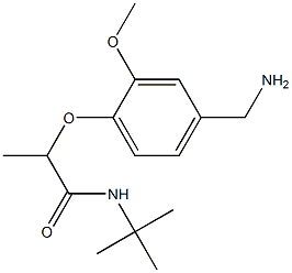 2-[4-(aminomethyl)-2-methoxyphenoxy]-N-tert-butylpropanamide Struktur